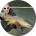 reviewer avatar